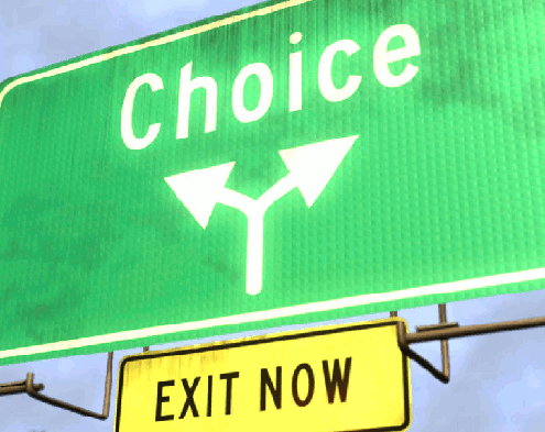 To Choose or Have Others Choose For You, That is the Question