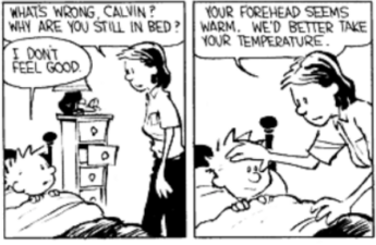 Calvin & Hobbes comic stripe
